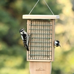 Double Suet Feeder