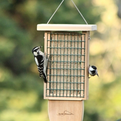 Double Suet Feeder