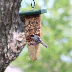 Peanut Butter Feeder